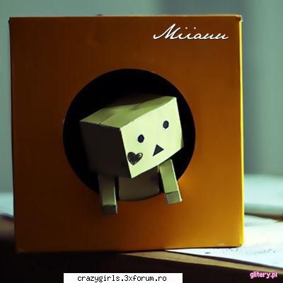 cutiuta dambo Admina:*
