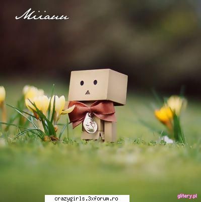 cutiuta dambo Admina:*